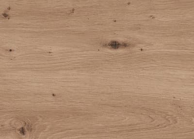 K032 Wildeiche Natur - Nachbildung